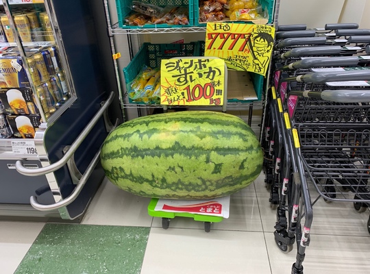 巨大スイカ